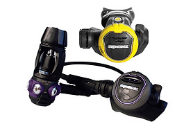 Flight - twilight.jpg