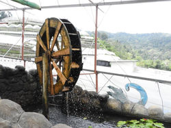 15822852_10155556893682366_1133347868790796212_n