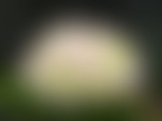 什么样的女人，才是美丽的女人？