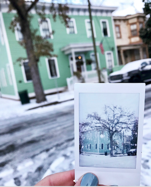 Savannah in the snow