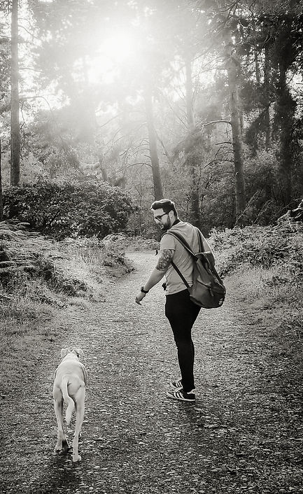 Cannock Chase Walk
