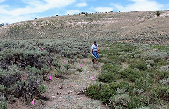IMG_5581.JPG
