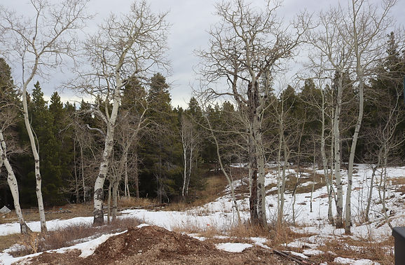 ZORN SITE 10-25-2021 (3).JPG