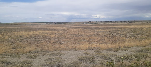 20240825_135454.jpg