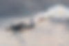 DSC03495.jpg