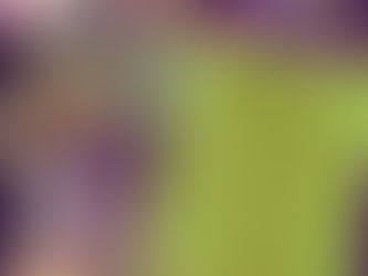 Happy New Year - Updates and More!