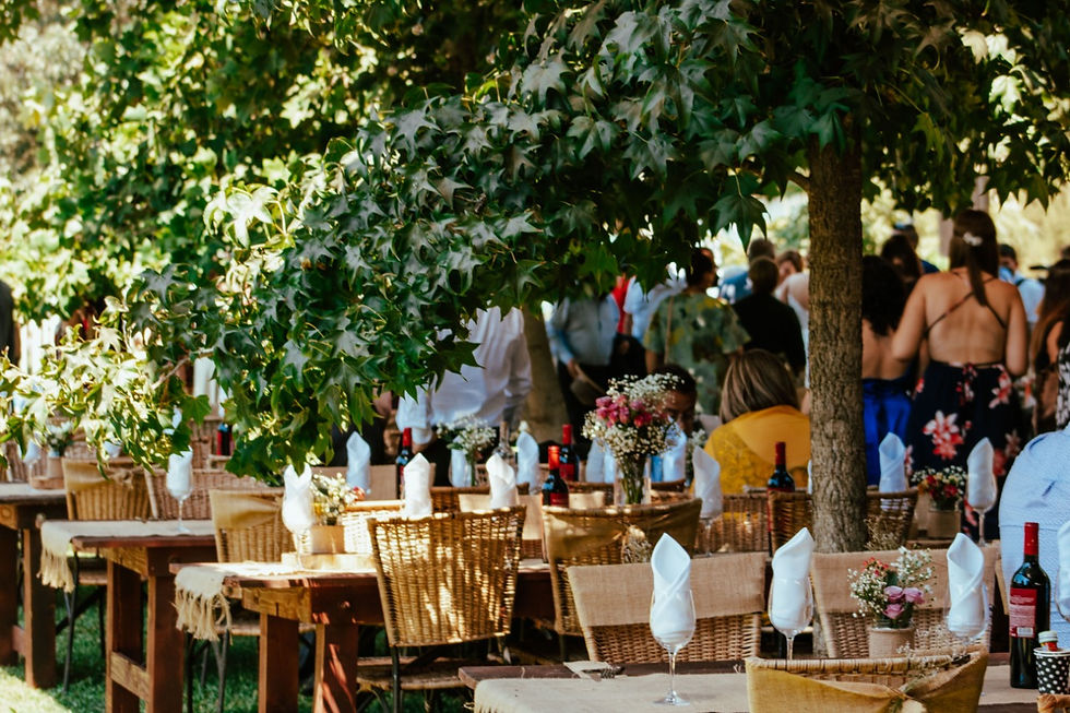 WhatsApp Image 2025-03-06 at 8.42.01 PM.jpeg