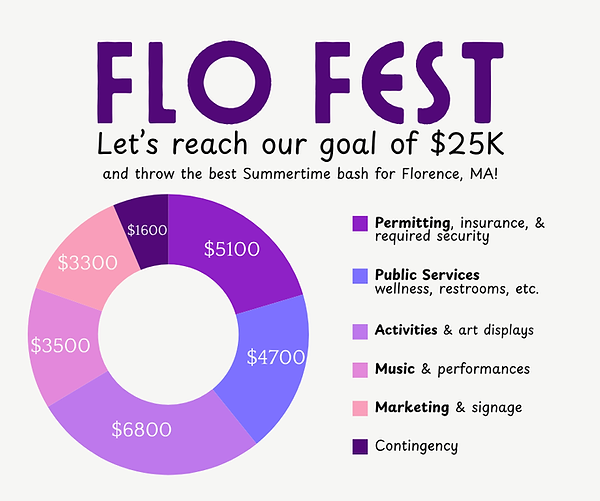 pie chart fundraising goal.png