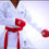 Miniatura: Karategi para Kumite Alta Competición
