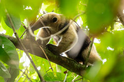 pexels-tomas-malik-793526-25929011