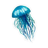 OIP_edited.png