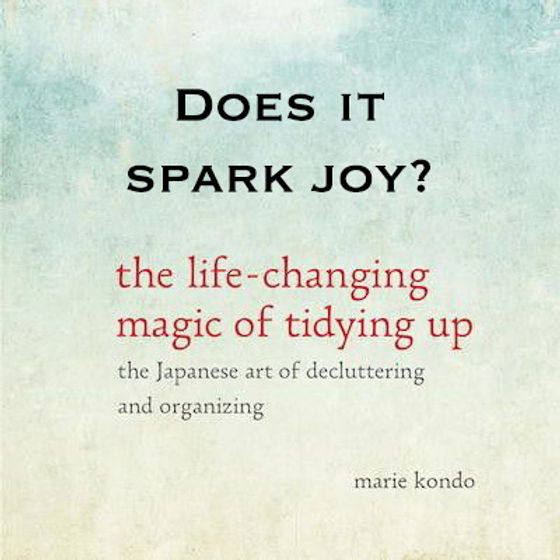 Does It Spark Joy