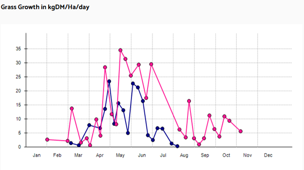Grass growth this year (blue) compared to 2022 (purple)