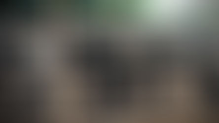 Carbon Negative Meat