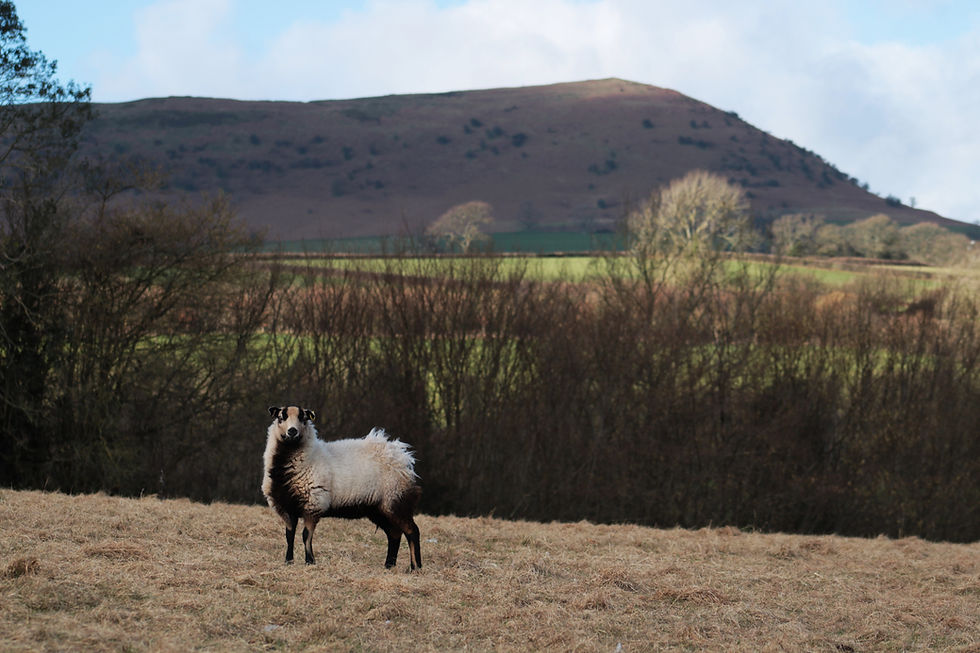 WOOL WORLD  Creative Sleepover