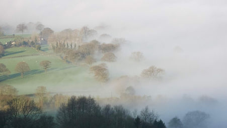 Agroforestry in Action