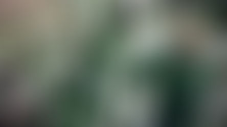 Plants of Three Pools - Winter 