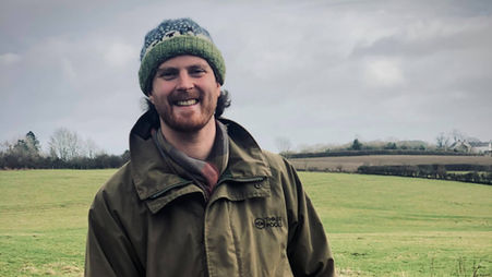 Vineyard Development 