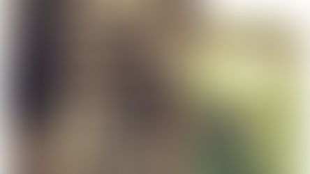 Harvesting Nature: Sustainable Hunting