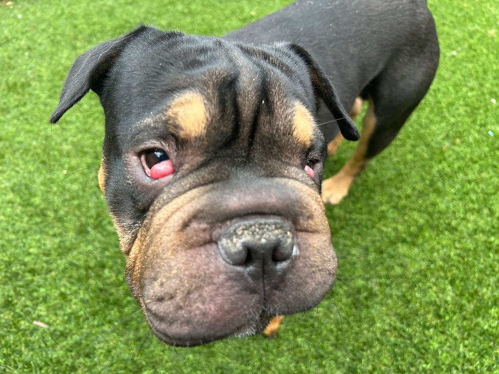 Billy before surgery