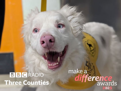 Celebrating Jenna and Ralph: finalists for the BBC Make a Difference Award