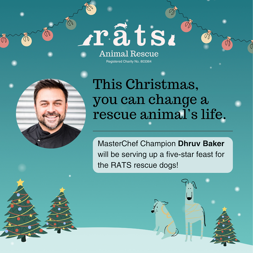 MasterChef Christmas Dinner for the RATS Rescue Dogs
