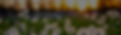 keegan-houser-6ArOP8cJoRI-unsplash_edited_edited_edited.jpg