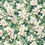 Thumbnail: Mukhwas x White Chocolate - Jasmine