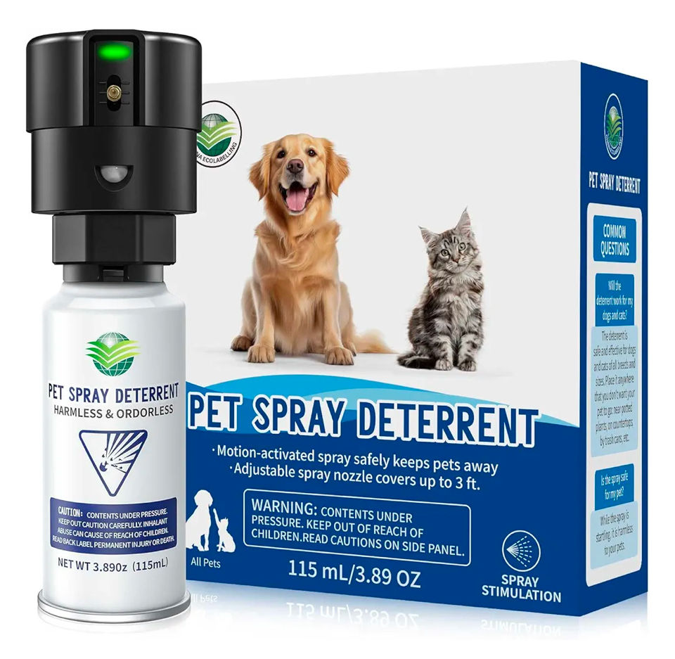Want Your Cat to Trust You More Deeply? Then DON'T.....