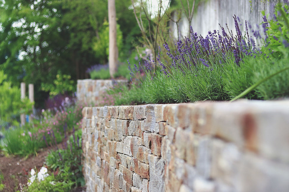 Mauer_Foto_garteNzauner-Detail_edit_background2.jpg