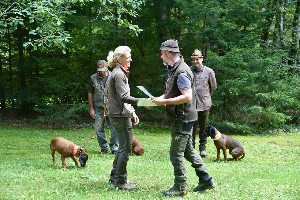Nordbayern / Baden-Württemberg: Herbstvorprüfung 2026 in Weiler in den Bergen