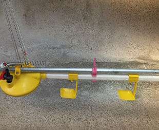 IMG_5431_edited_edited_edited_edited_edi