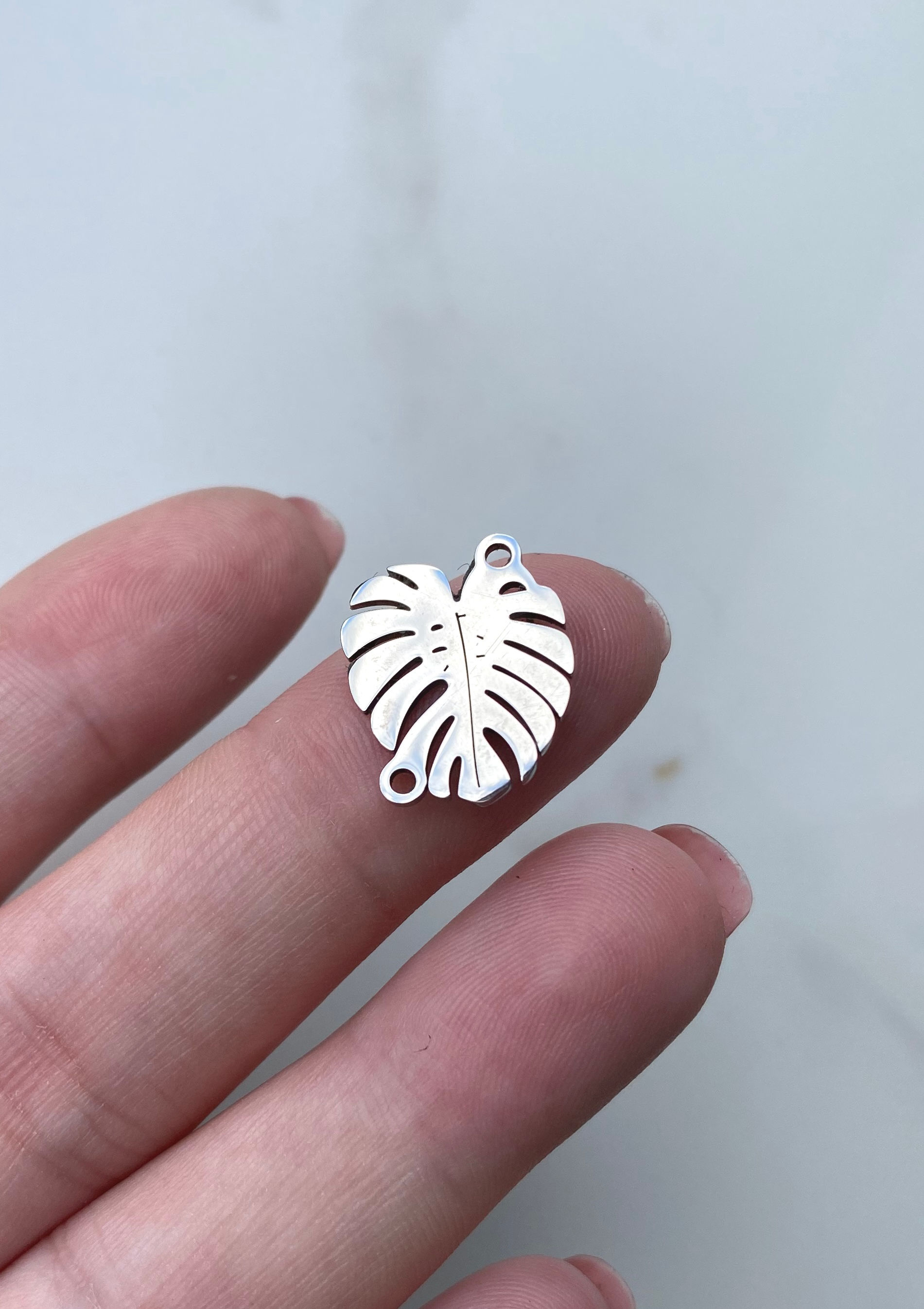 Costela de Adão Inox