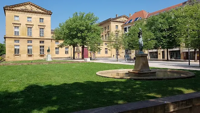 IMG_0229 - webp.webp