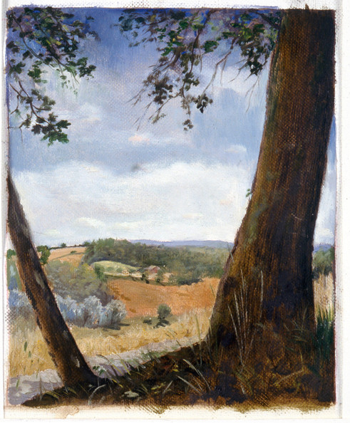 Quercerto In Summer* 10” X 8” 1992