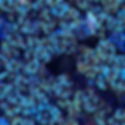 Thumbnail: Vintage Hologram (Zodiac) Sequins Paillettes