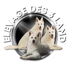 France , Creuse , création de logos pour tous les professionnels des animaux  . Create of logos for all animal professionals 