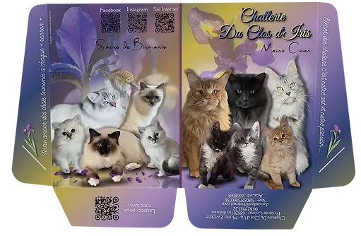 Creuse , France , création de pochettes porte-documents à partir des photos de vos animaux , pour éleveurs et professionnels 