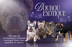 batch_carte 3