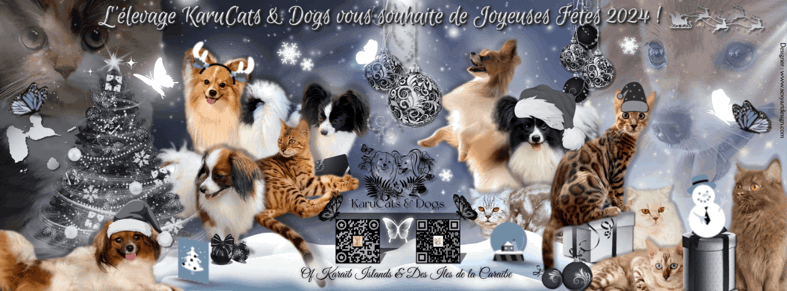 France , Creuse , création de cartes de voeux pour les professionnels des animaux ( à partir des photos de vos animaux ) . Cr