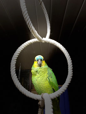 IMG_3081.jpeg