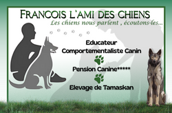 Carte Francois 1