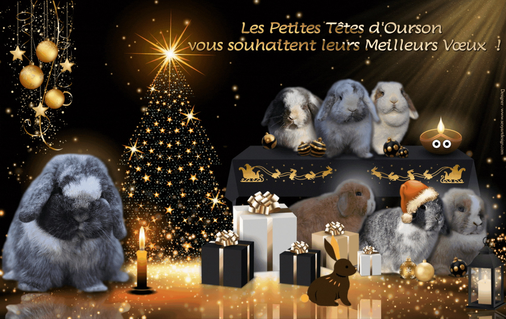 France , Creuse , création de cartes de voeux pour les professionnels des animaux ( à partir des photos de vos animaux ) . Cr