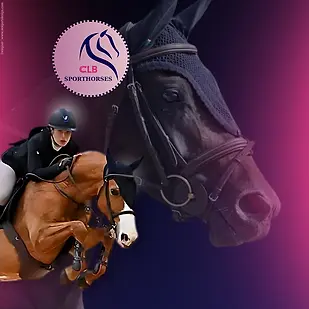 France , Creuse , création de bannières facebook pour tous les professionnels des animaux . Create of facebook banners for al