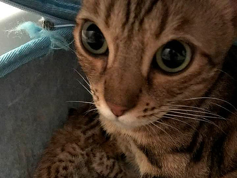 318408707_10225395431464371_219960092777