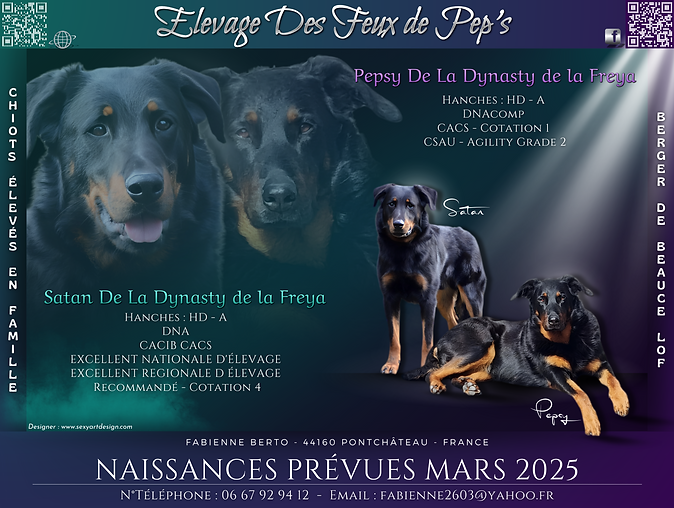 Les Feux de Peps 1.png