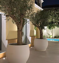 OUTdoor design dubai.jpeg