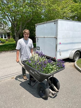 Planting