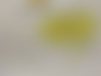 Det finns inga ämnen som är rätt eller fel