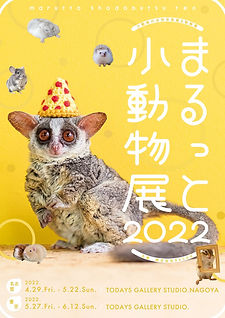 2022-04-15 16.44のイメージ.jpg